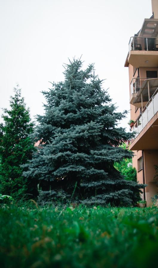 Holiday Apartment 7 Hisarya Bagian luar foto